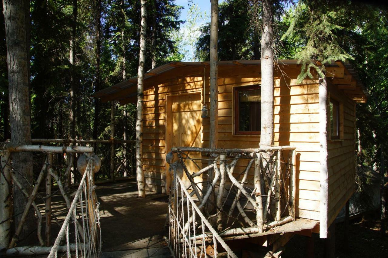 Sven's Basecamp